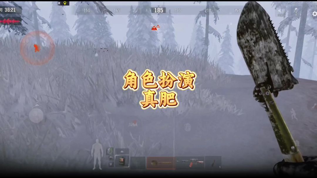 video-4733851