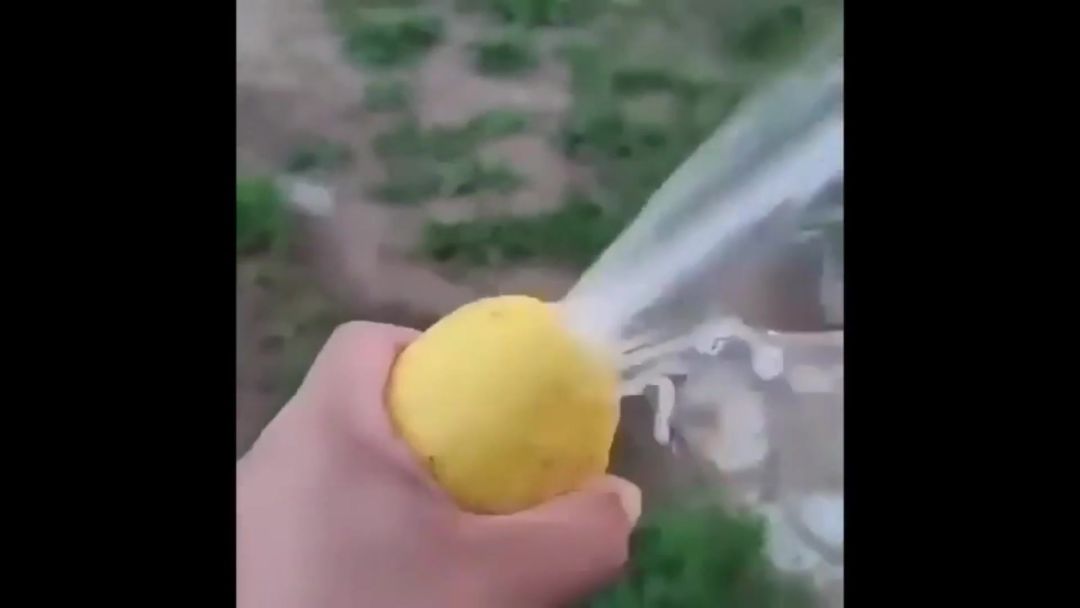 video-4734681