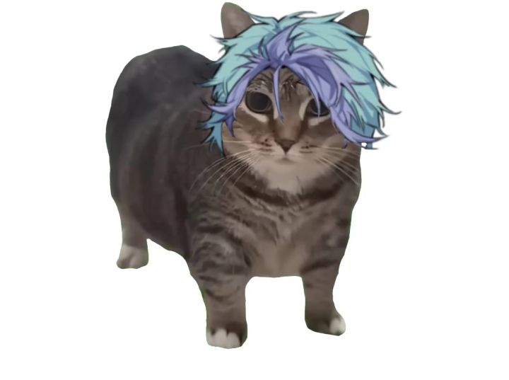 文照阑，但是oiiai猫截图