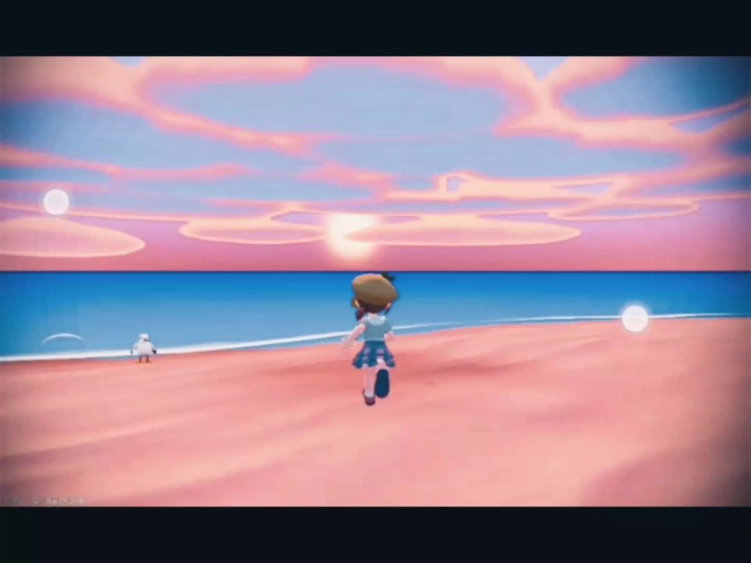 video-4737551