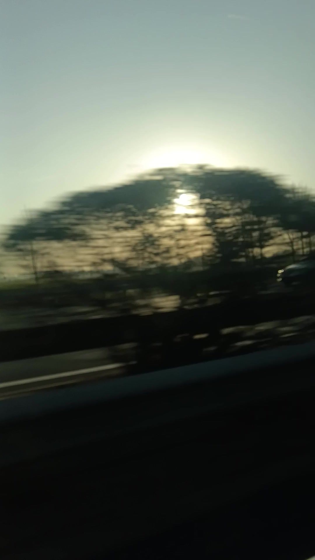 video-4738320
