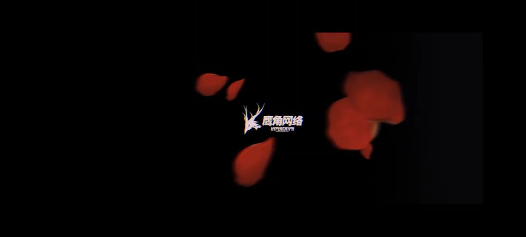 video-4741107