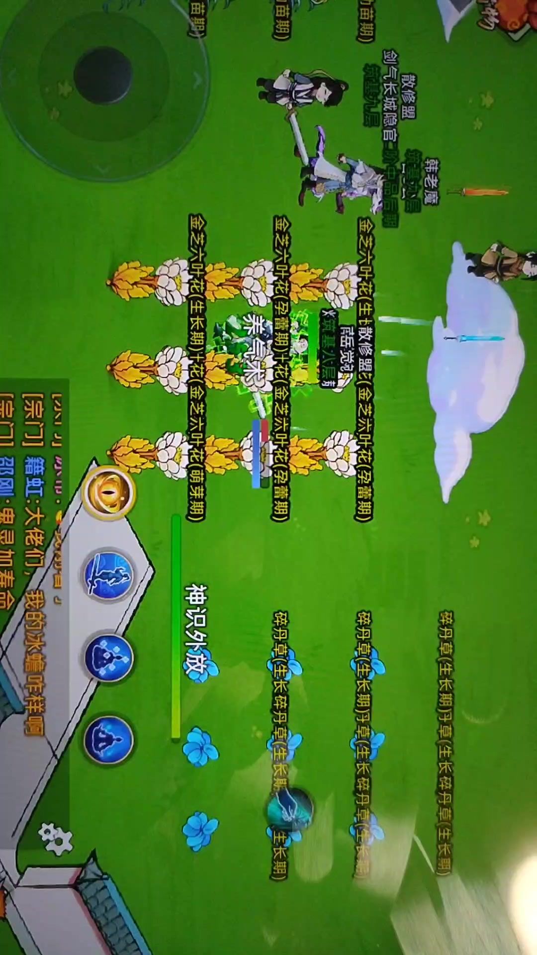 video-4741415