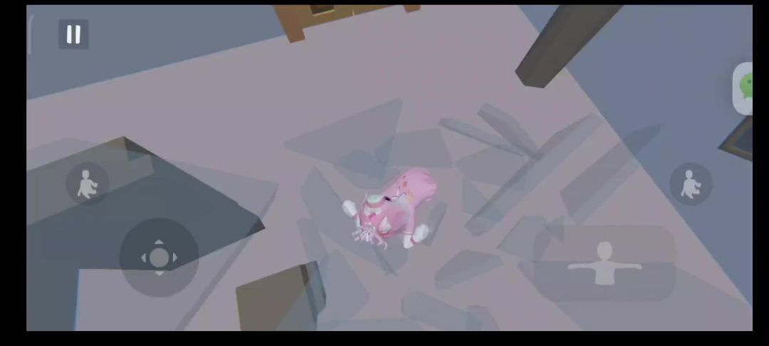video-4741859