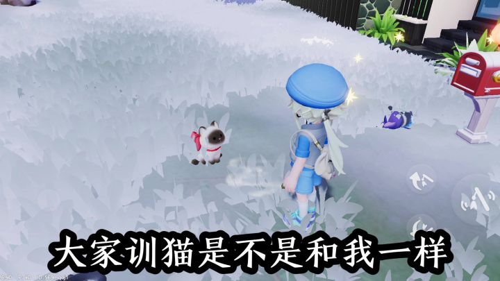 [干货] 心动小镇训猫100%成功！！截图