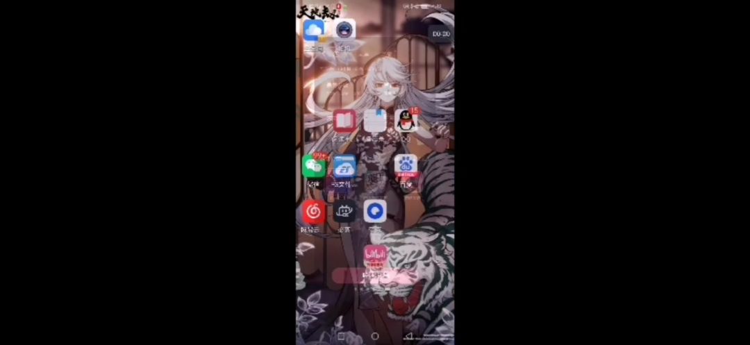 video-4746186