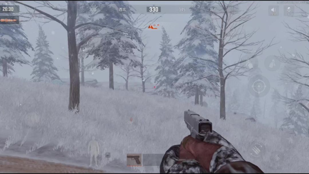 video-4754107