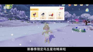 心动小镇 新春季限定报喜鸟，5星观鸟攻略