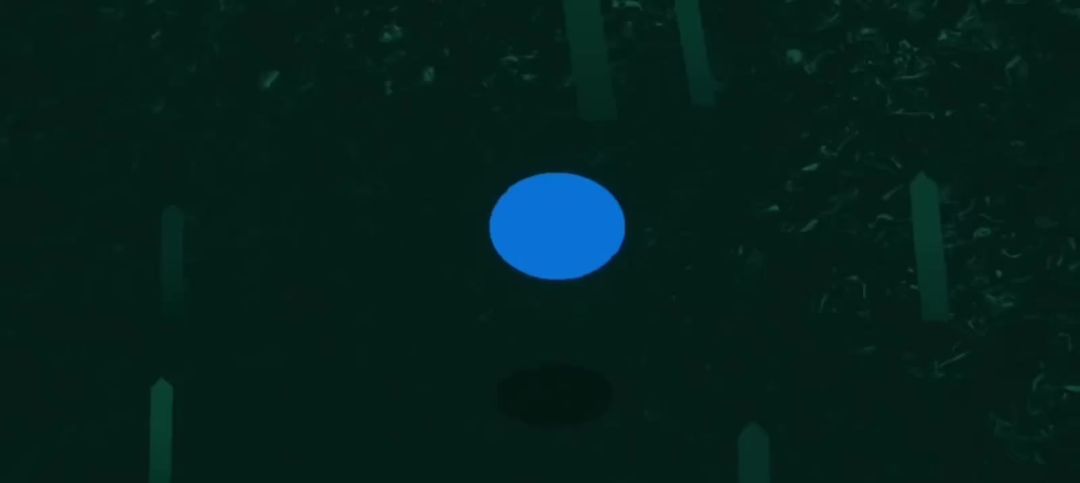 video-4755779