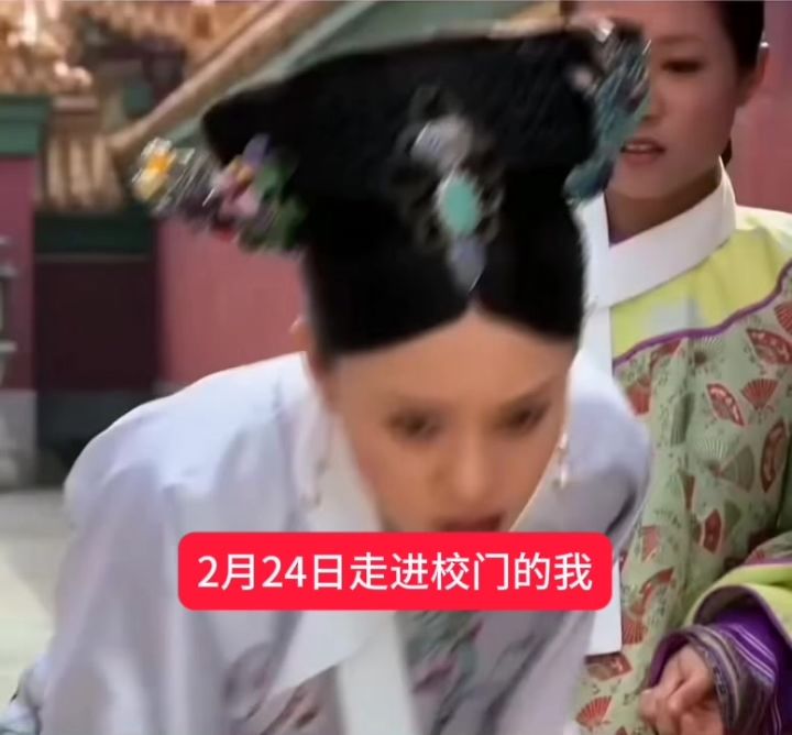 学校好像甄嬛传截图