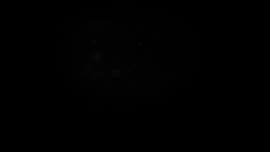 video-4759064