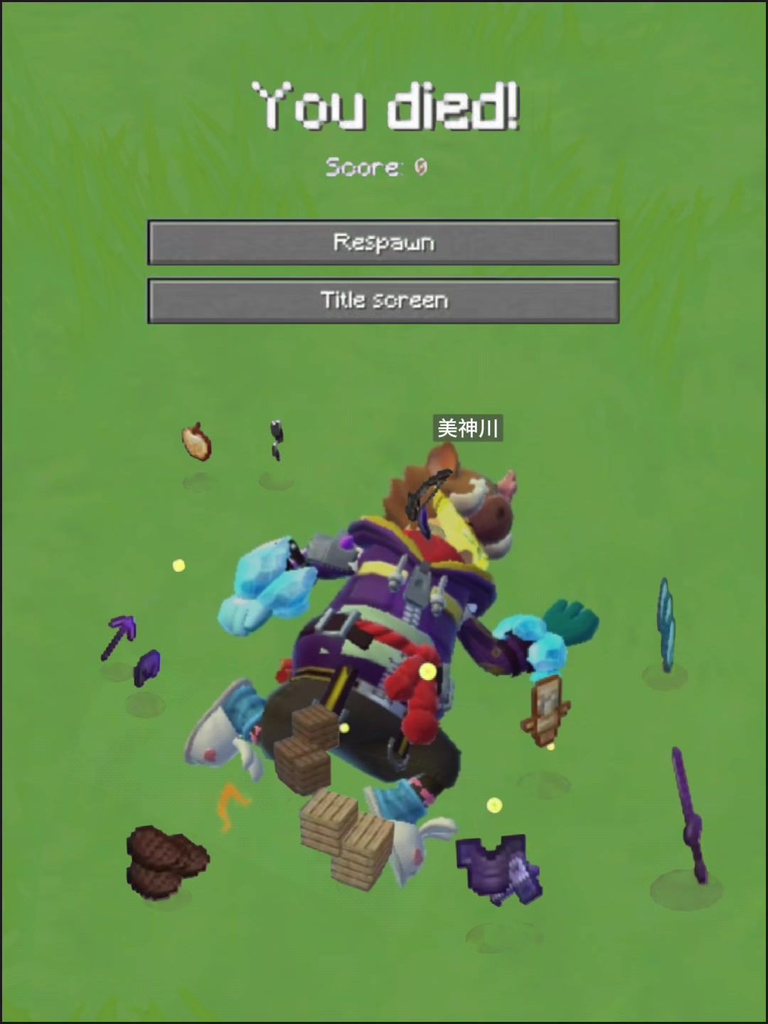 video-4760959