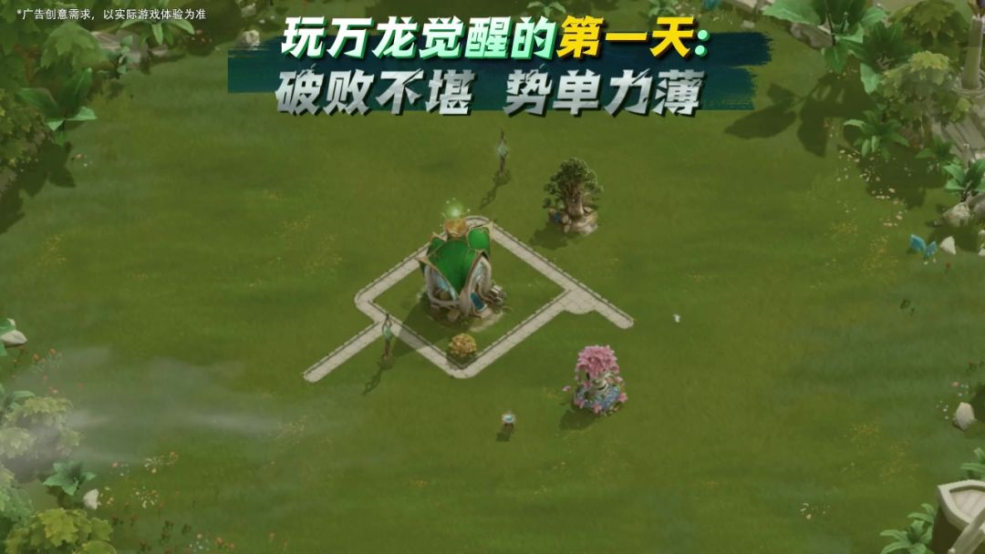 video-4762440