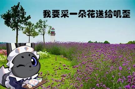 我要采一朵花送给叽歪~截图