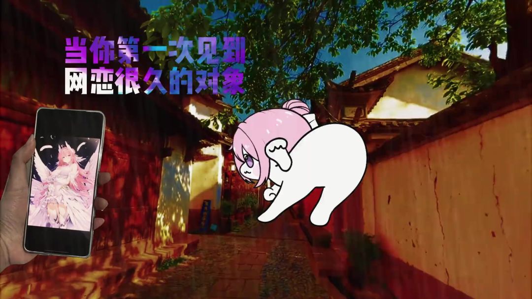 video-4763456