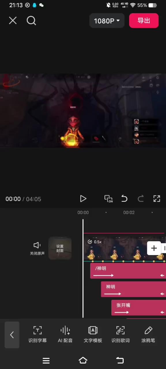 video-4769090