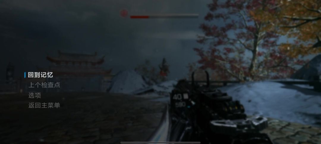 video-4769940