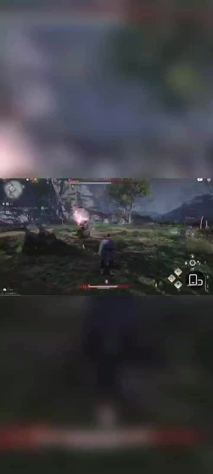 video-4770605