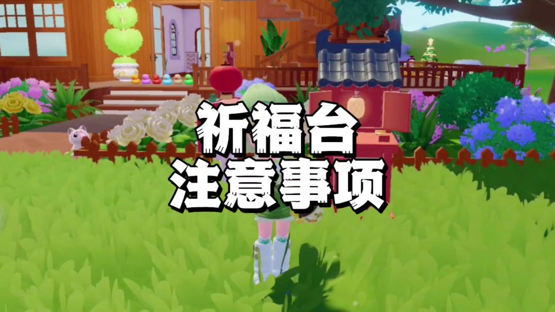 video-4770984