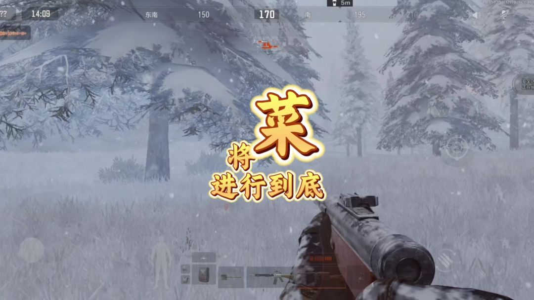 video-4771482