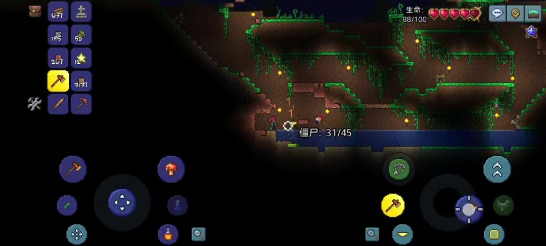 video-4771706