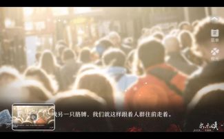 3.1安乐颂