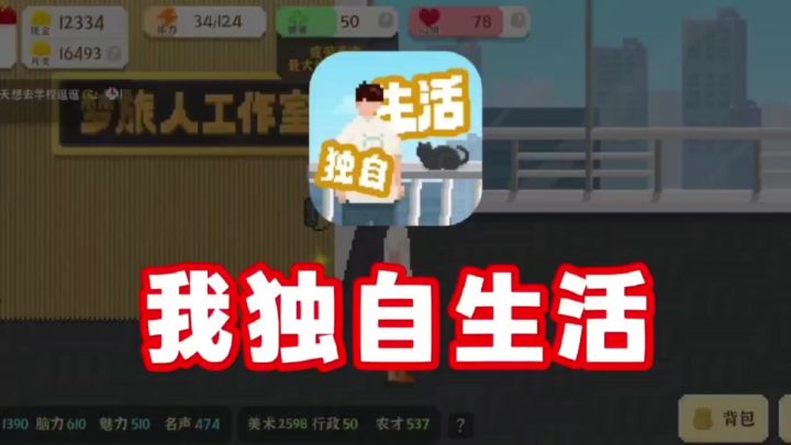 独自生活大冒险:在平凡中创造非凡截图