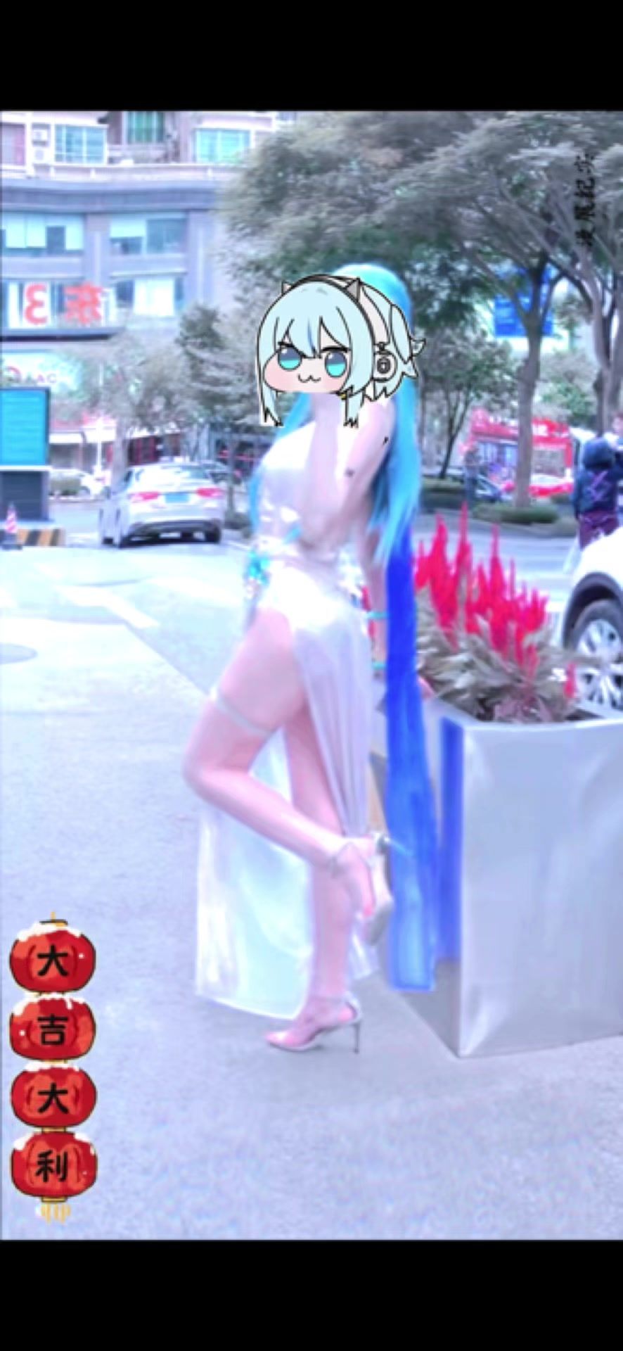 video-4779454