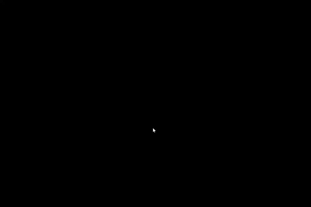 video-4781703