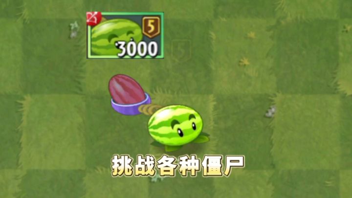 神西瓜投手挑战各种僵尸截图
