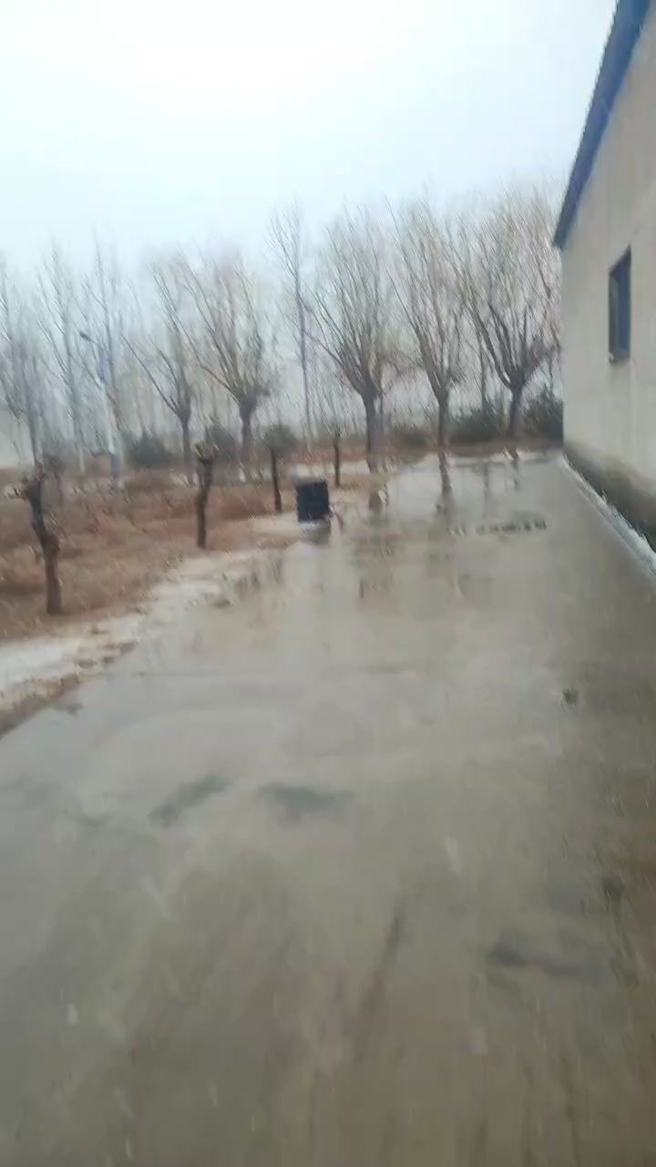 video-4785871
