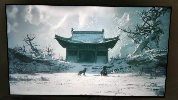 快乐主机——黑神话 ⑩截图