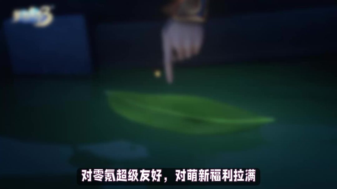 video-4787386