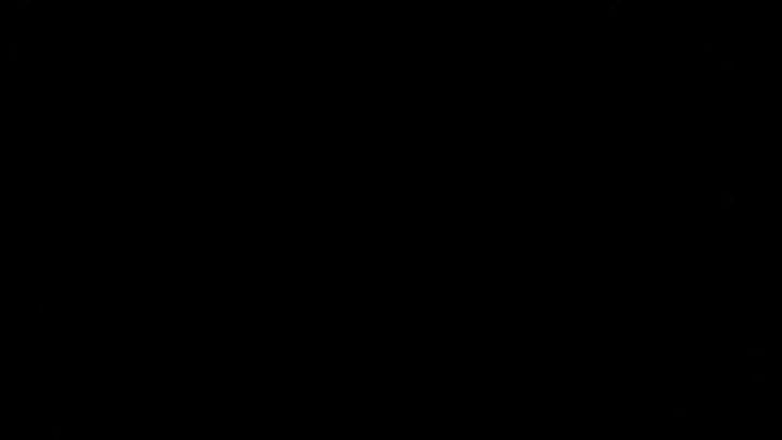 胡须下的公式：一个科学家的理智燃烧史截图