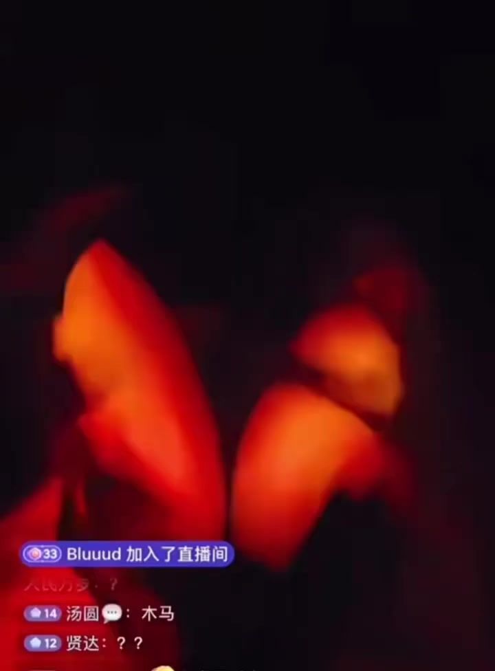 video-4797730