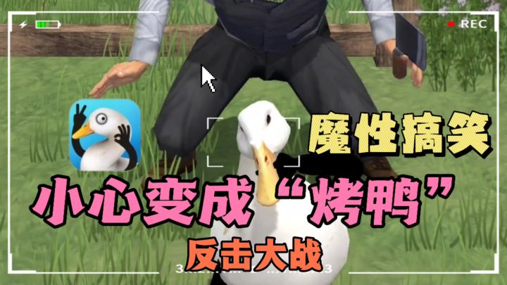 🔥鸭子开启反击大战,❗拒绝成为“盘中餐”,简直魔性又搞笑~截图