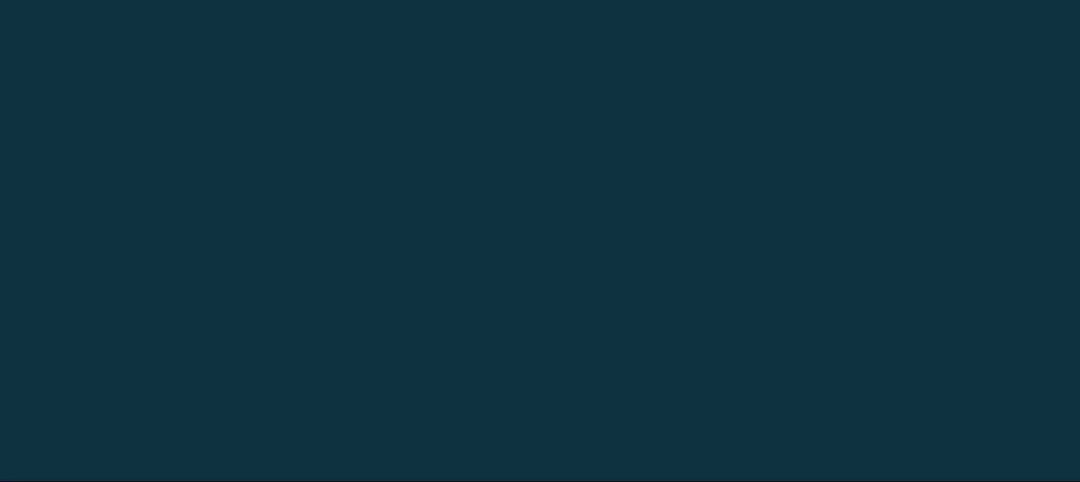 video-4800391