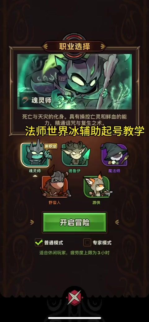 法师世界boss辅助装备技能搭配截图