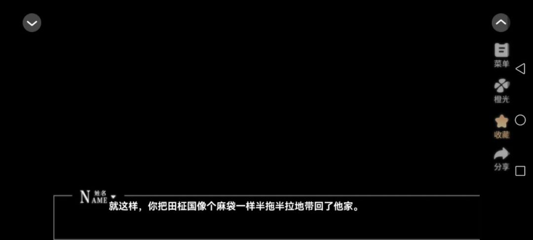 10他的攻略指南截图