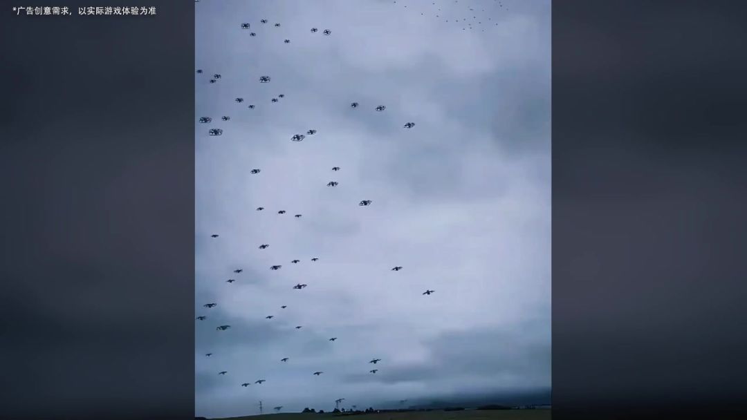 video-4808186