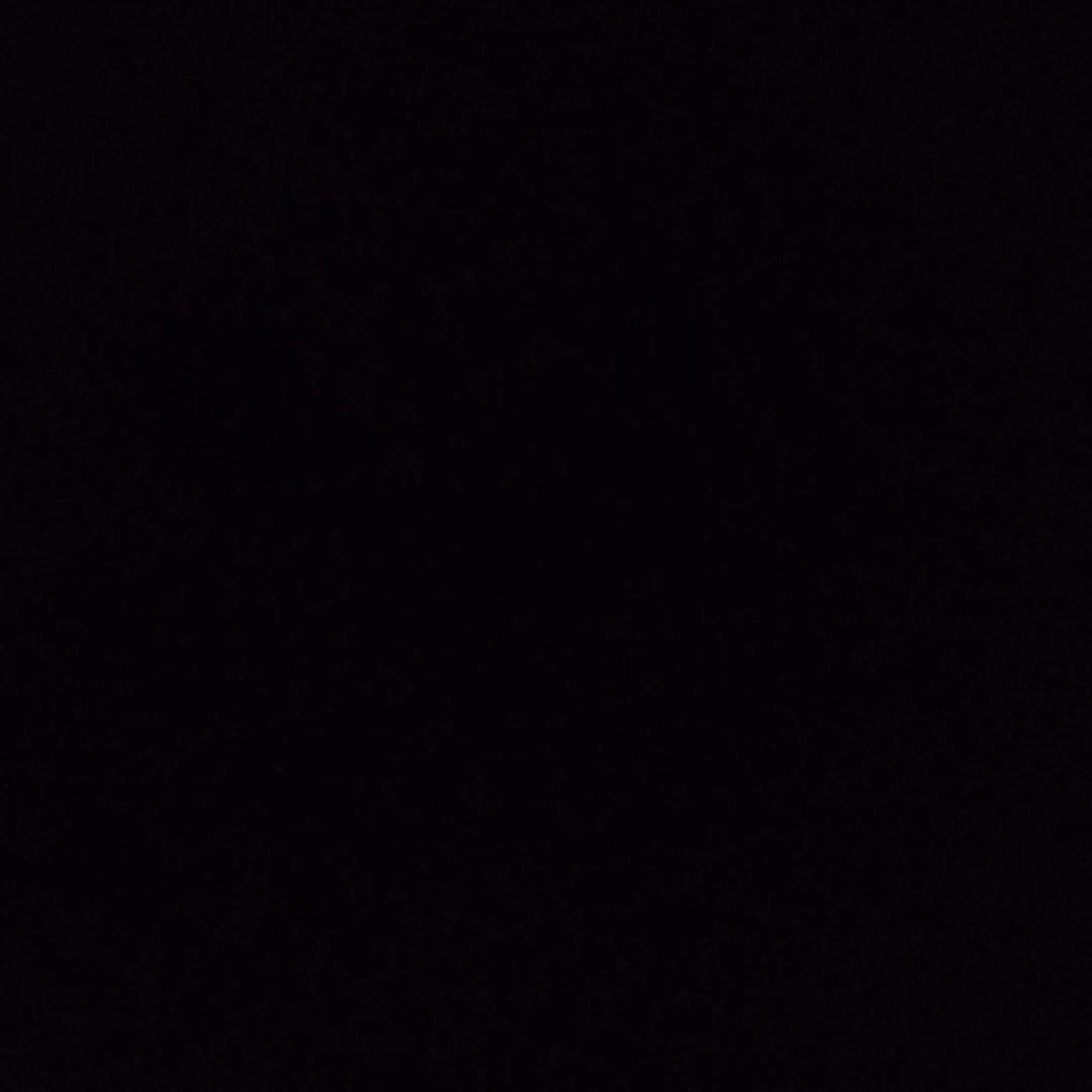 video-4812309