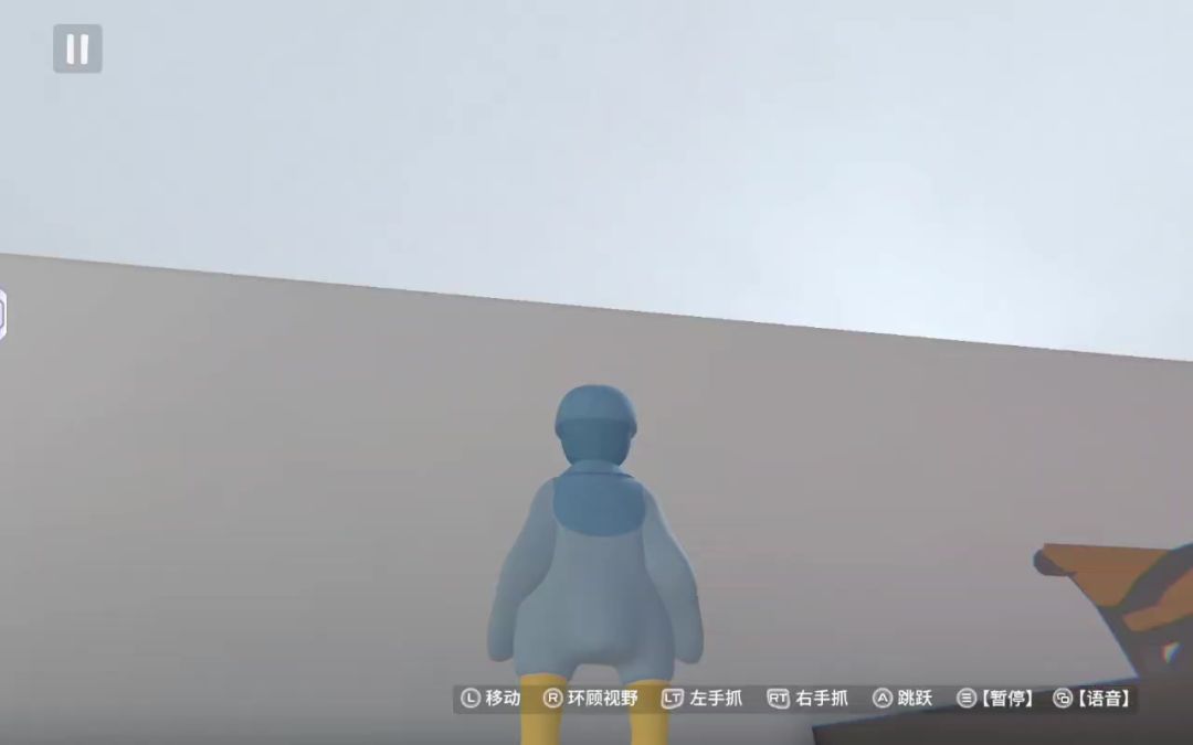 video-4812810