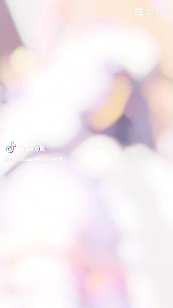 video-4812851