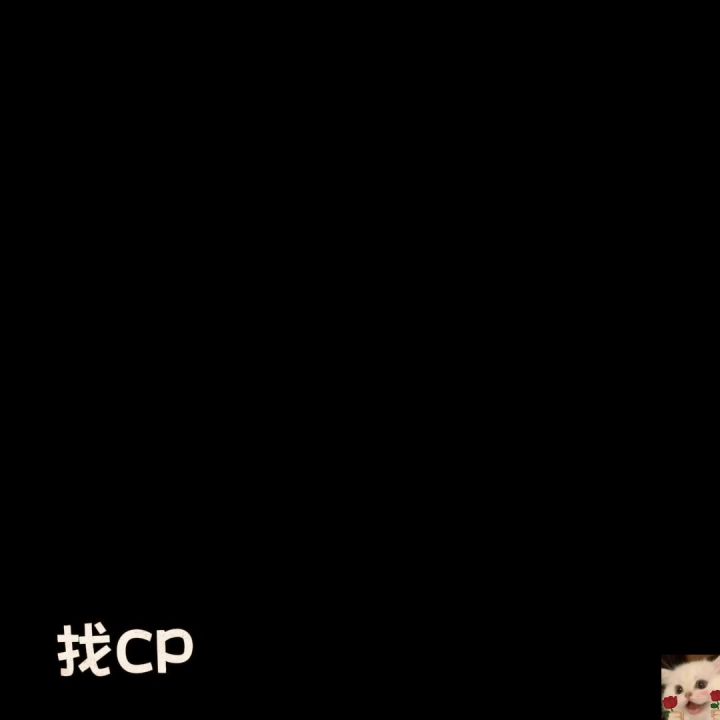 找CP截图