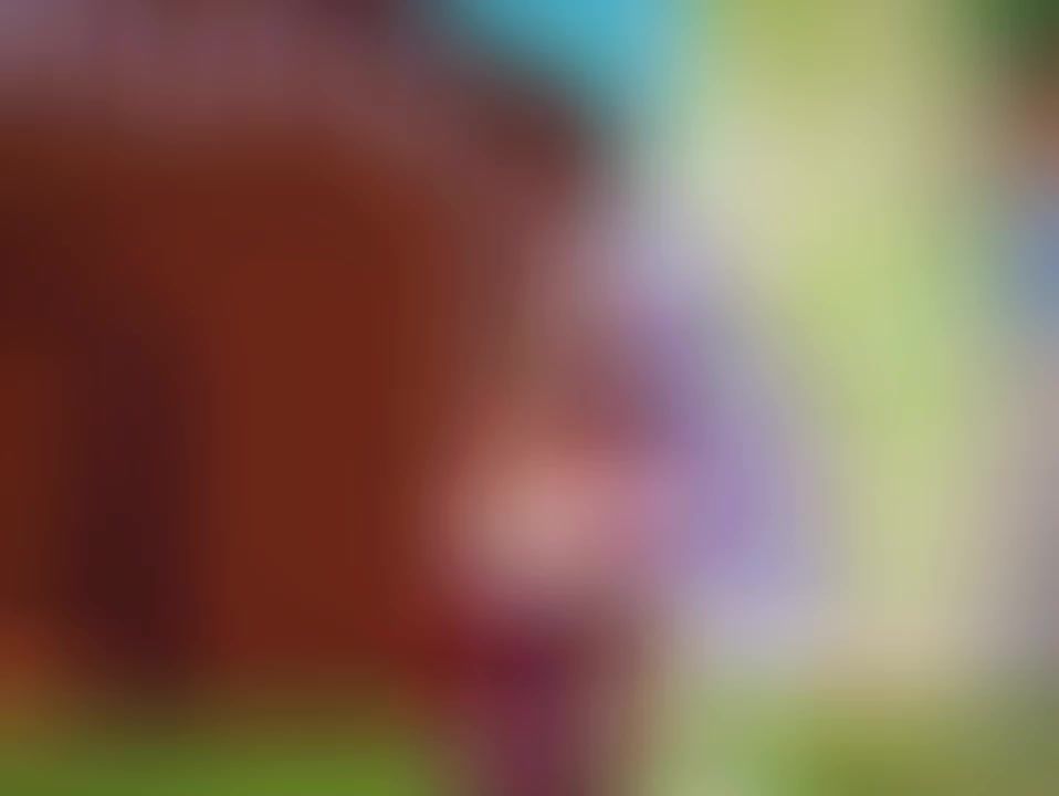 video-4815769