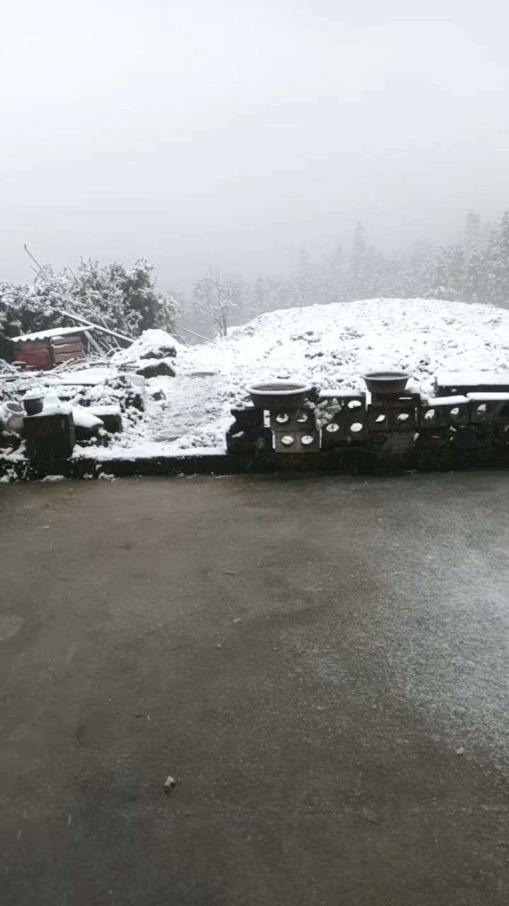 催更截图