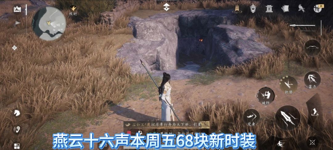 video-4819425