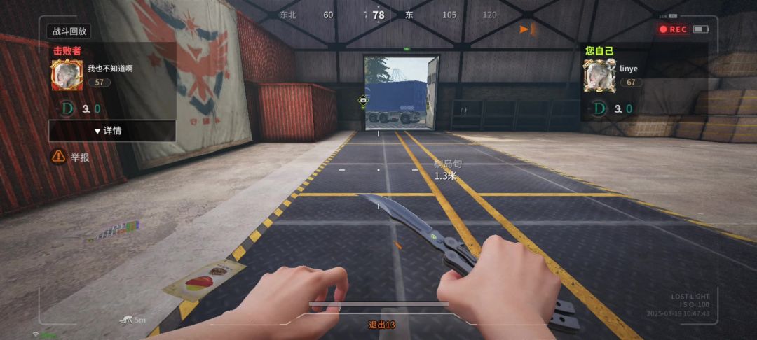 video-4820415