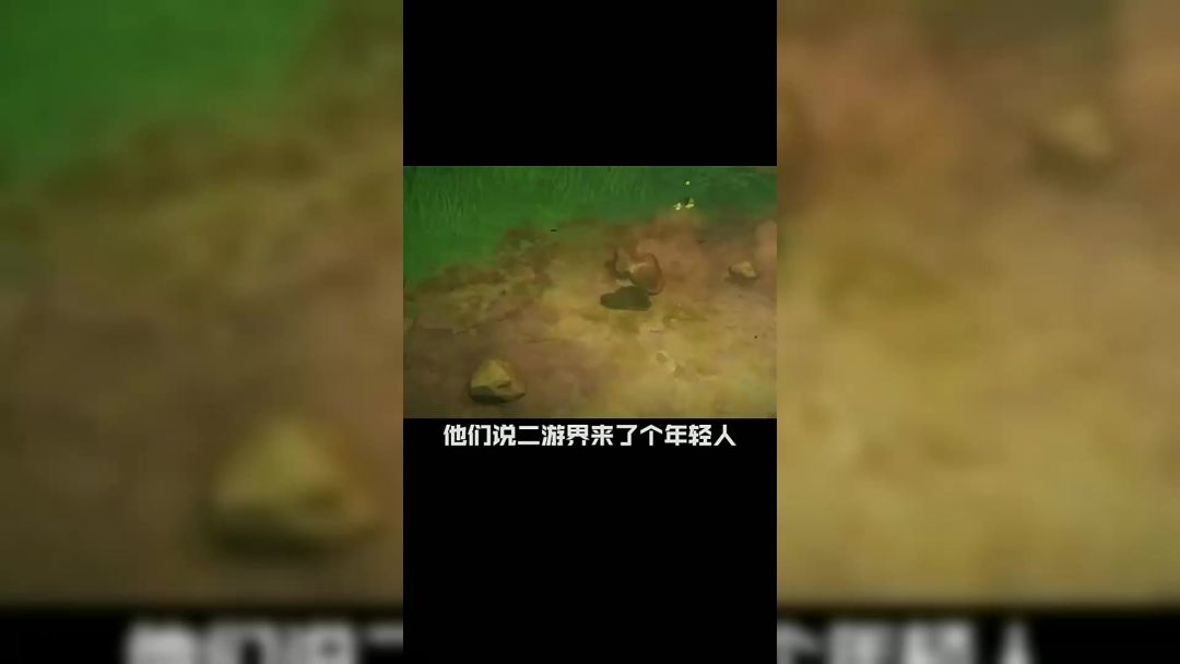 video-4825892