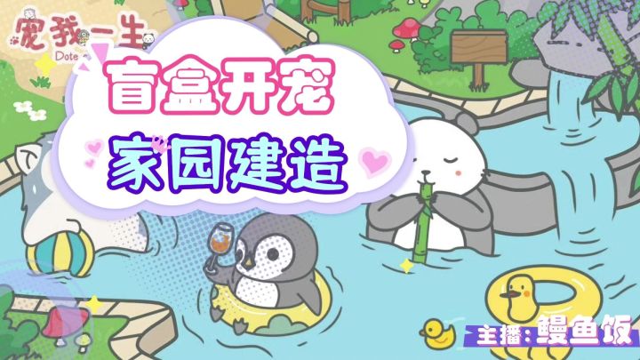 云养宠天花板！赛博铲屎官的终极佛系修行截图